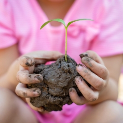 person holding dirt