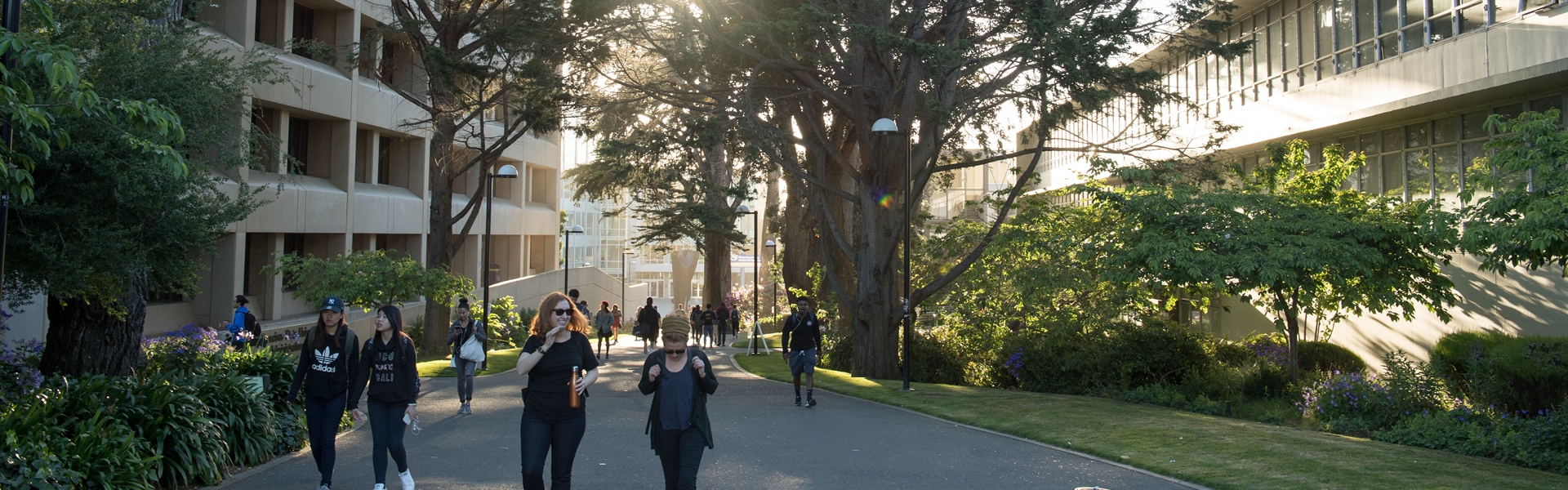 Students walk between the admin and CHSS buildings on a sunny afternoon